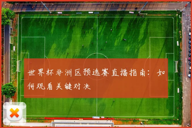 世界杯非洲区预选赛直播指南：如何观看关键对决