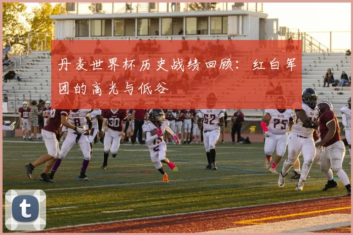 丹麦世界杯历史战绩回顾：红白军团的高光与低谷