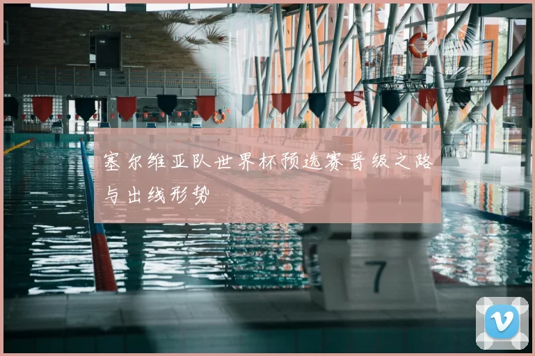 塞尔维亚队世界杯预选赛晋级之路与出线形势