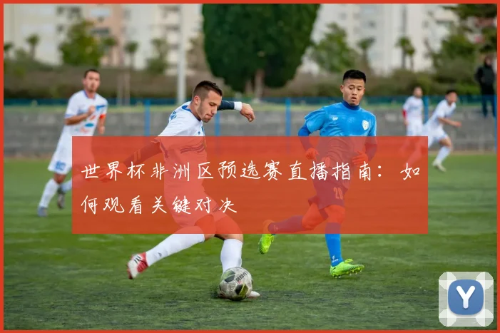 世界杯非洲区预选赛直播指南：如何观看关键对决