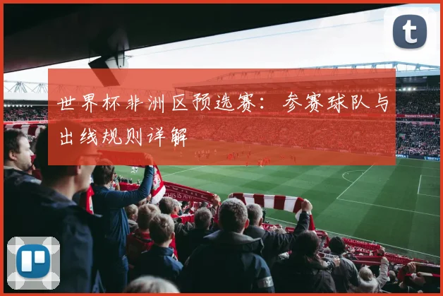 世界杯非洲区预选赛：参赛球队与出线规则详解